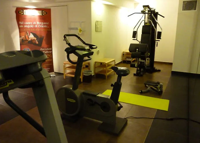 Cappello D'oro, Bw Signature Collection 4*